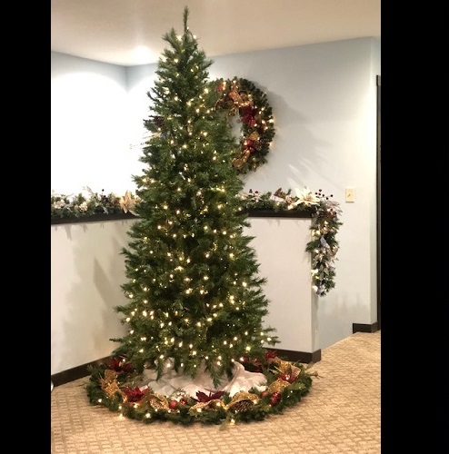 7.5' Slim Frazier Tree - Events & Themes - Unique ideas for Christmas tree base